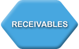 ERP Software Receivables