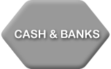 ERP Software Cash