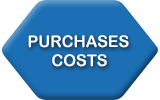 ERP Software Purchases-Costs