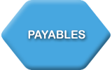 ERP Software Payables